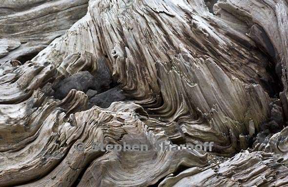 driftwood 3701 1 graphic